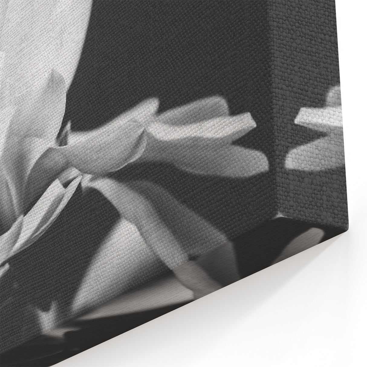 Magnolia Wall Art | Botanical Magnolia Print | White Magnolia Flower Canvas