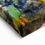 Underwater Coral Photography - Vibrant Great Barrier Reef Canvas Art