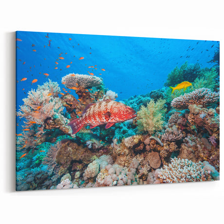 Australia Marine Life Art - Coral Reef Canvas Prints with Tropical Fish