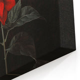 Striking Red Poinsettia Wall Art - Botanical Christmas Flower Canvas Decor