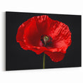 Striking Red Poppy Blossom Wall Art – Modern Floral Botanical Canvas