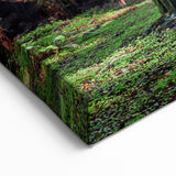 Majestic Redwood Trees Wall Art - California Forest Landscape Canvas Print