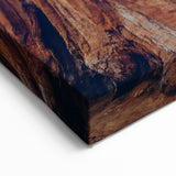 Ancient Redwood Forest Wall Art - Sequoia Redwood Tree Canvas Print
