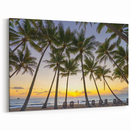 Queensland Nature Prints - Palm Trees at Sunset Beach Photography Art