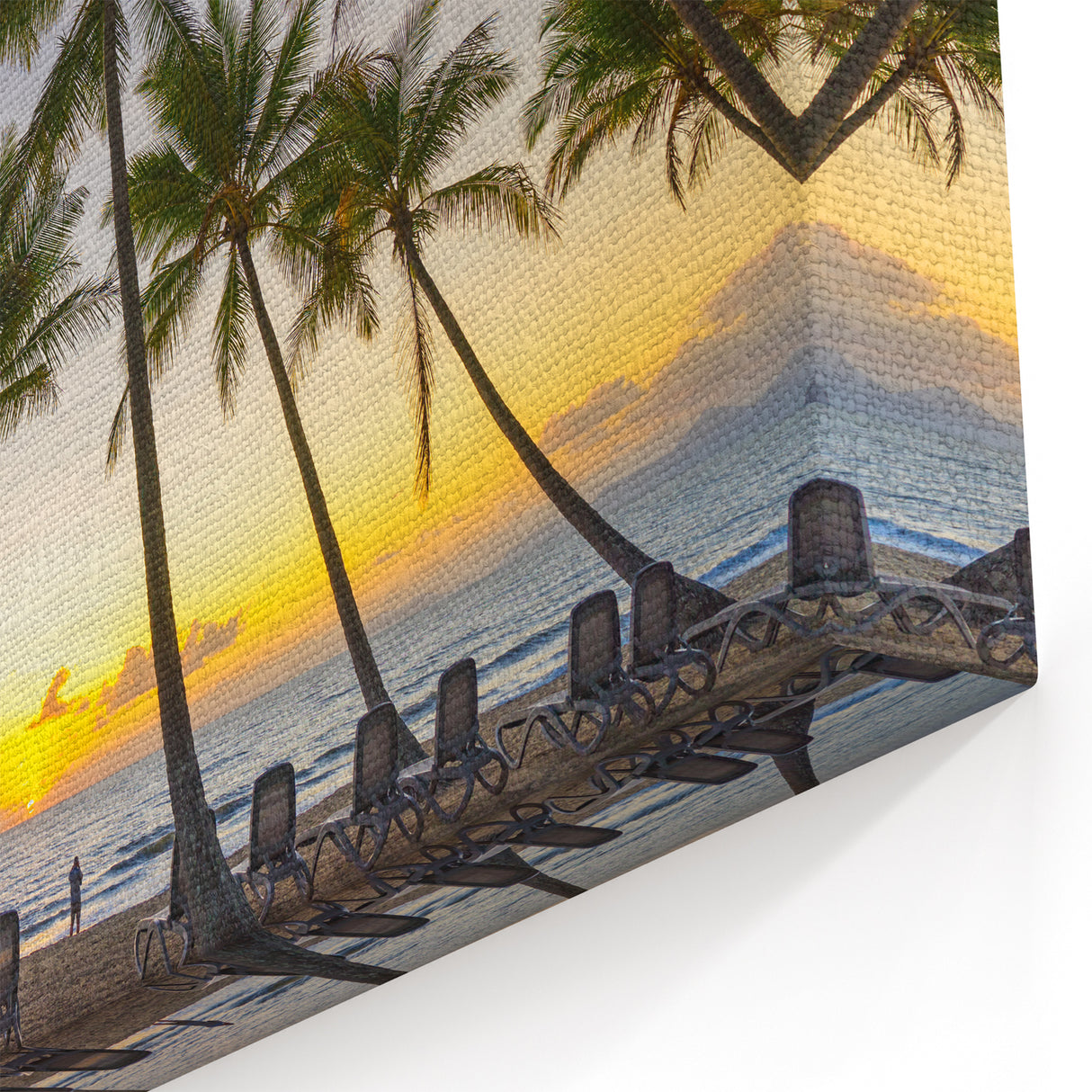 Queensland Nature Prints - Palm Trees at Sunset Beach Photography Art