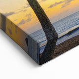 Queensland Nature Prints - Palm Trees at Sunset Beach Photography Art