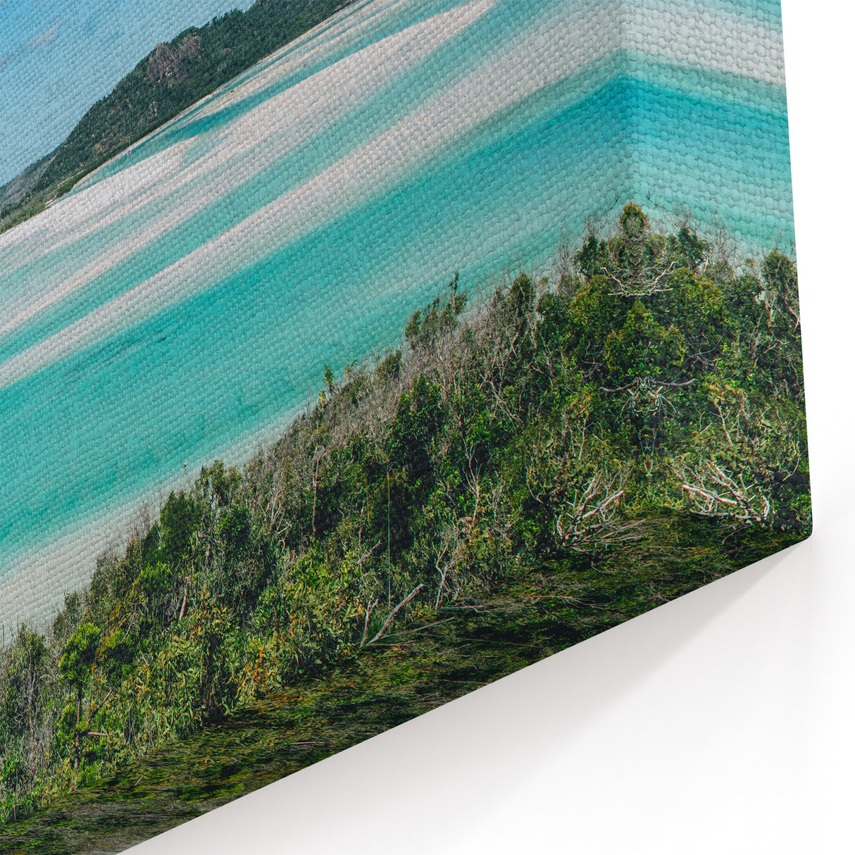 Queensland Coastal Prints - Turquoise Beach and Scenic Landscape Art
