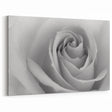 Elegant Black and White Rose Wall Art – Romantic Floral Rose Canvas Print