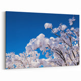 Snowy Korean Branches - Scenic Winter Landscape Art Print