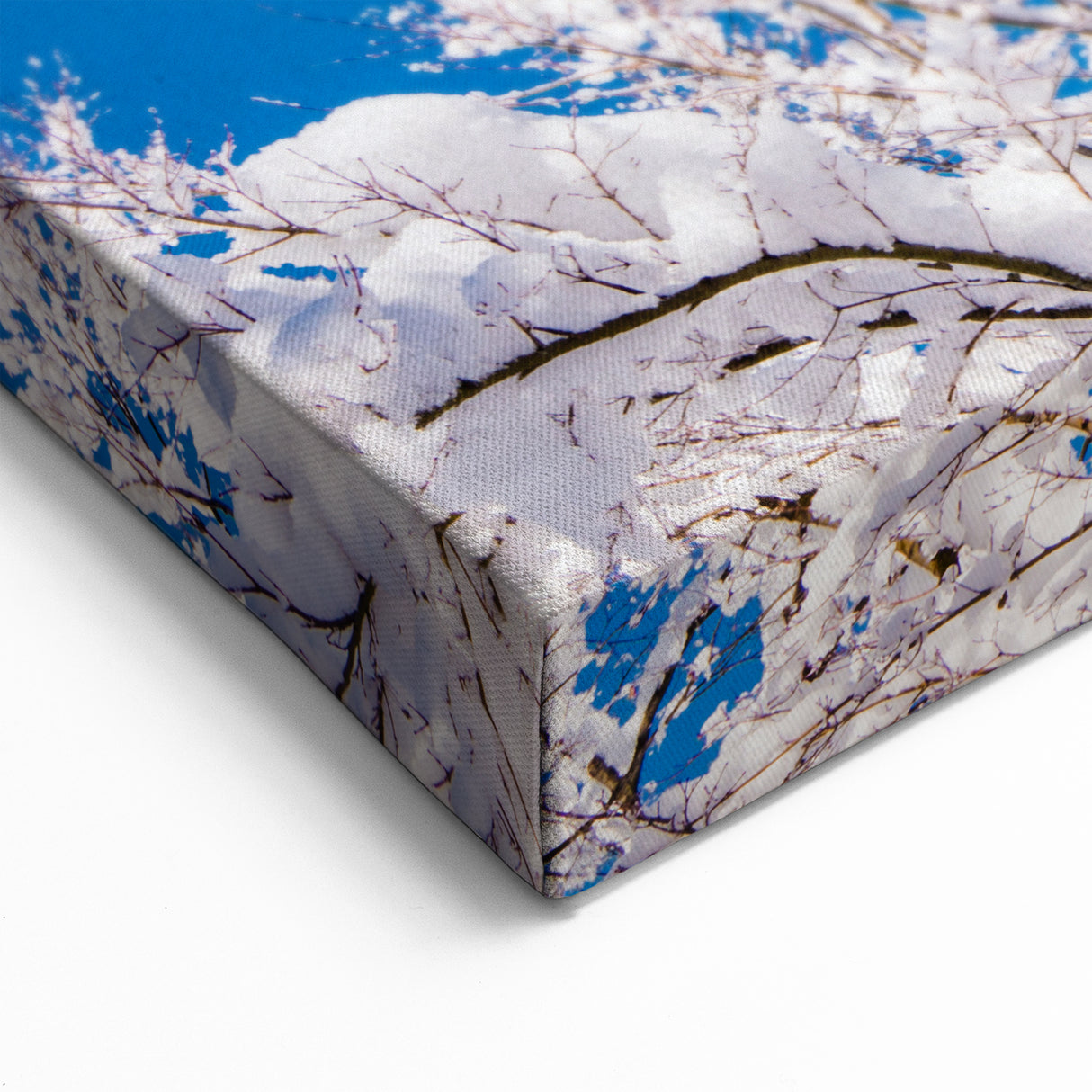 Snowy Korean Branches - Scenic Winter Landscape Art Print