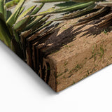 Artistic Oaxaca Landscapes - Stunning Mexican Street Art Canvas Prints