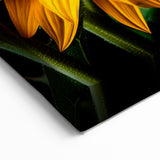 Bold Sunflower Wall Art | Striking Sunflower Canvas for Home Decor