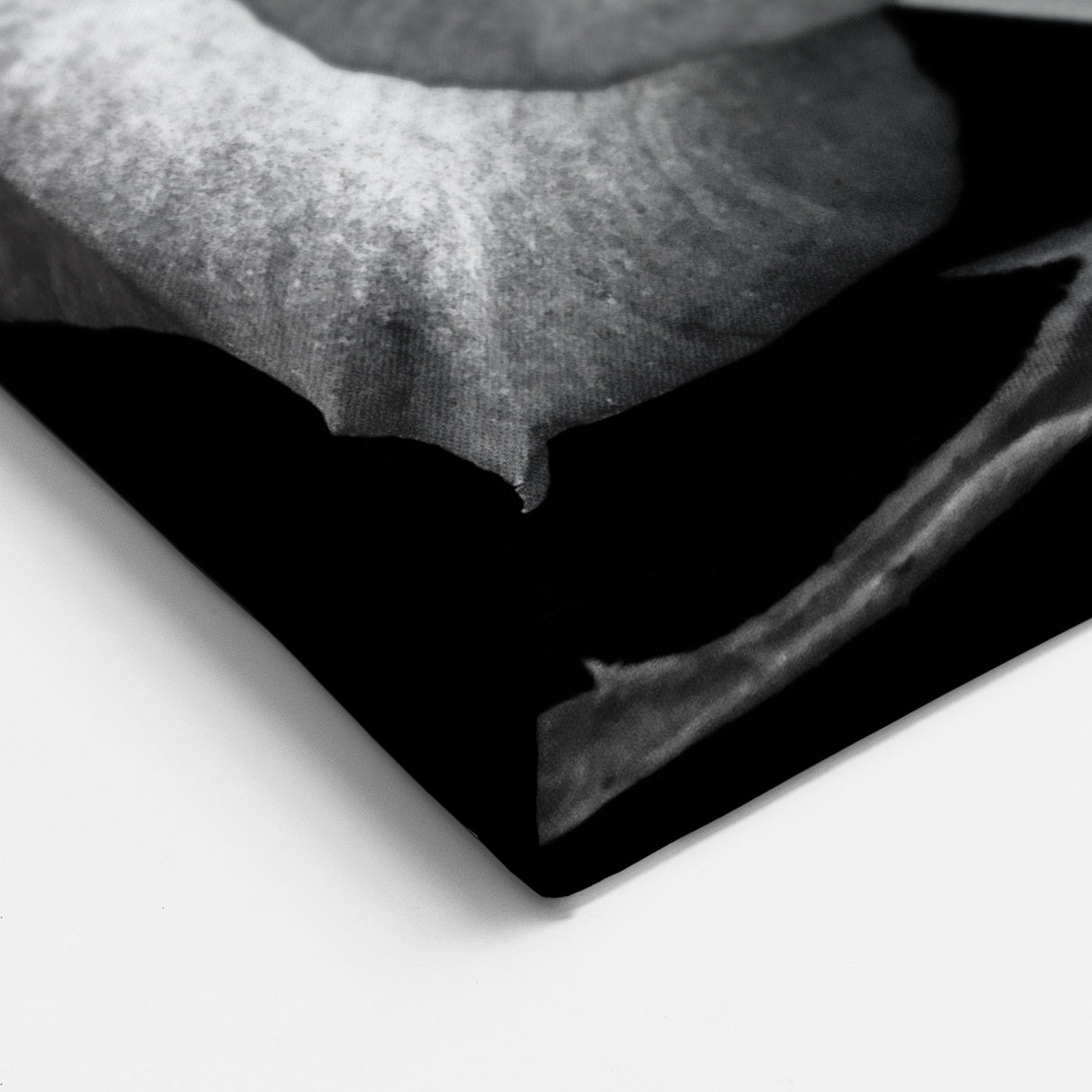 Timeless Black & White Rose Wall Art - Classic Floral Rose Canvas Print
