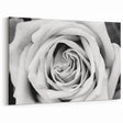 Minimalist Black & White Rose Close-Up Wall Art - Elegant Floral Canvas Print