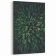 Forest Canopy Aerial View – Modern Tree Art on Canvas and Acrylic