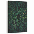 Forest Canopy Aerial View – Modern Tree Art on Canvas and Acrylic