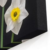 Elegant Daffodil Wall Art | Vibrant Botanical Yellow Flower Canvas Print