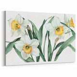 Botanical Daffodil Wall Art | Spring-Inspired Yellow Flower Canvas Print