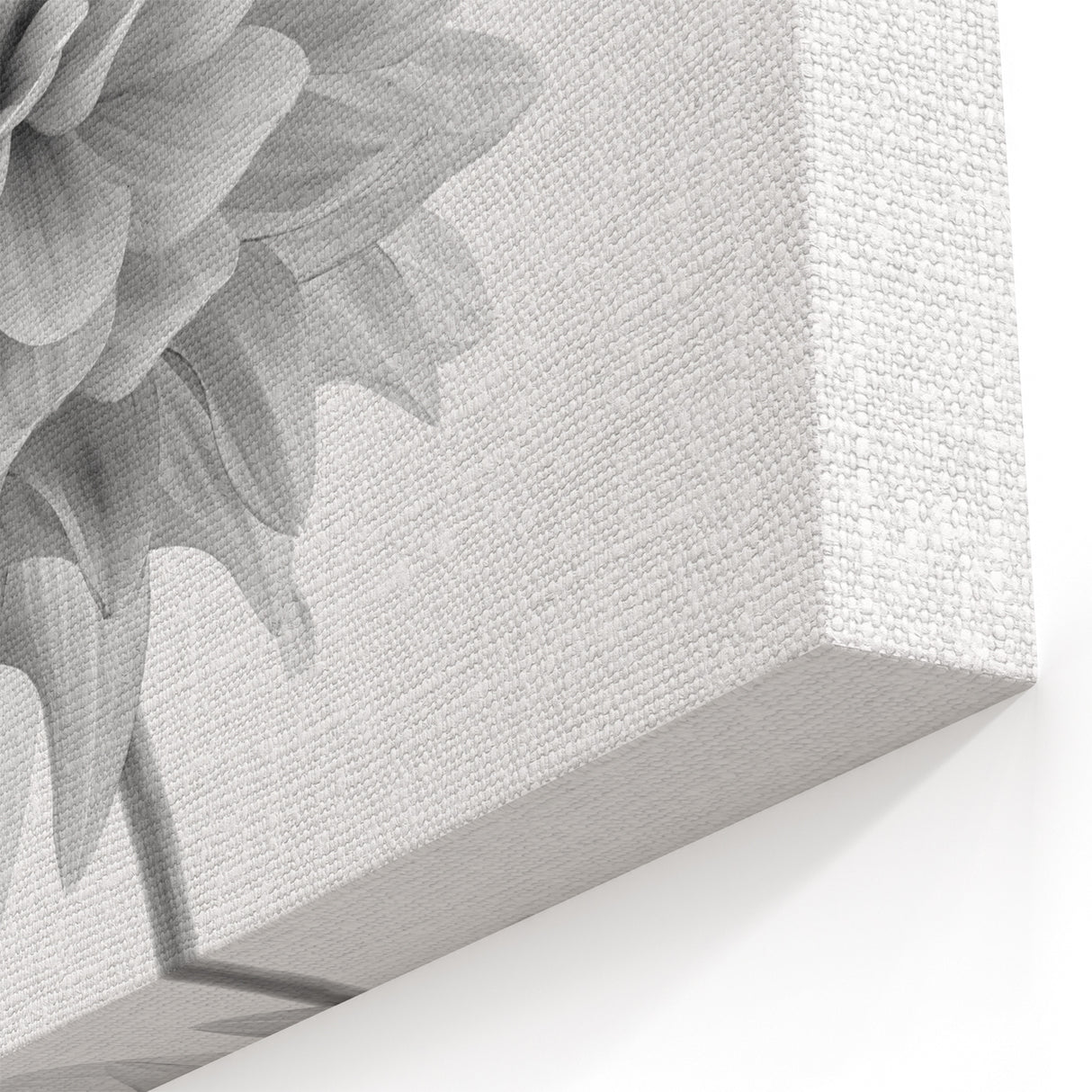 Elegant Black and White Dahlia Wall Art | Botanical Floral Canvas Print