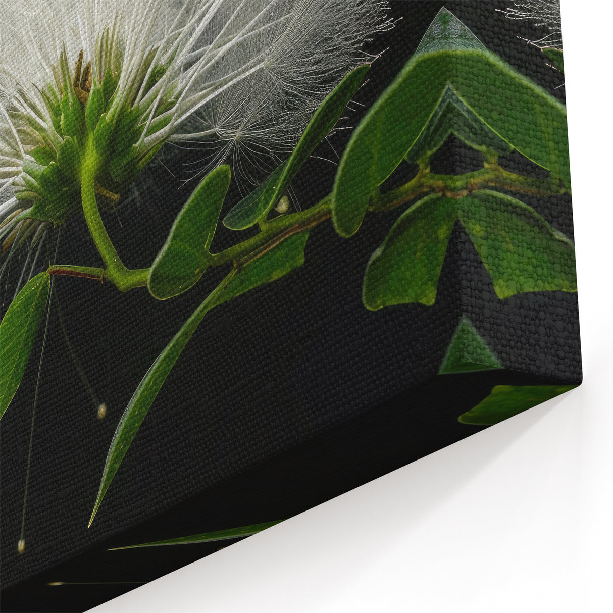 Elegant Tropical White Flower Art - Botanical Wall Decor Print