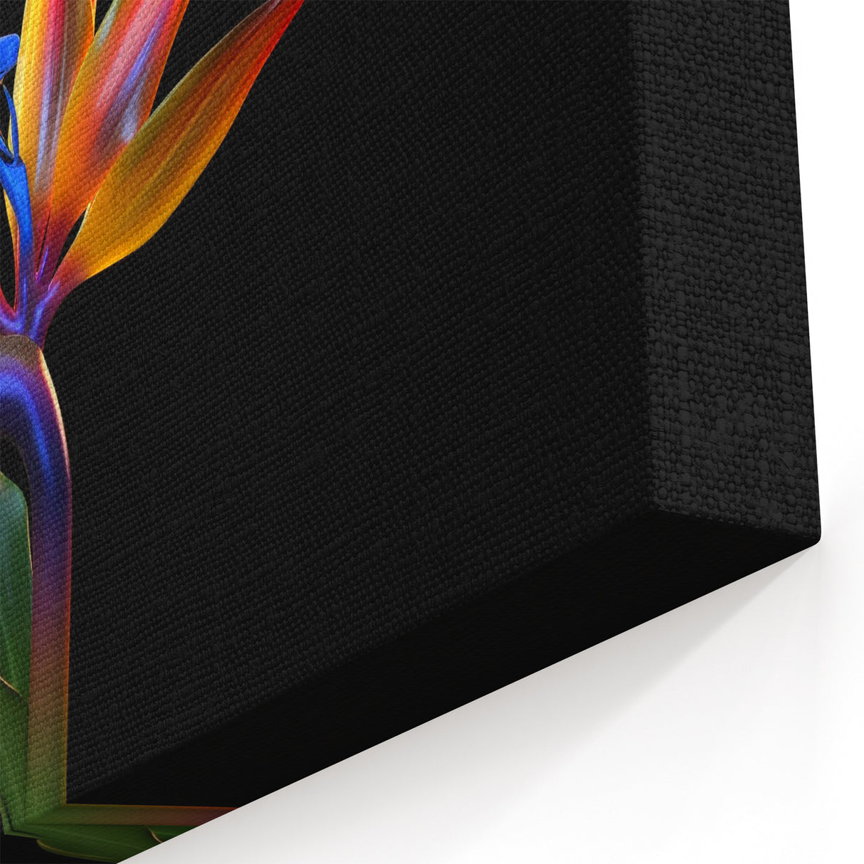 Vibrant Bird of Paradise Flower Art - Exotic Botanical Wall Decor Print