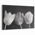 Elegant Black and White Tulip Wall Art | Tulip Canvas Prints for Modern Decor