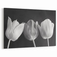 Elegant Black and White Tulip Wall Art | Tulip Canvas Prints for Modern Decor
