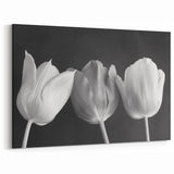 Elegant Black and White Tulip Wall Art | Tulip Canvas Prints for Modern Decor