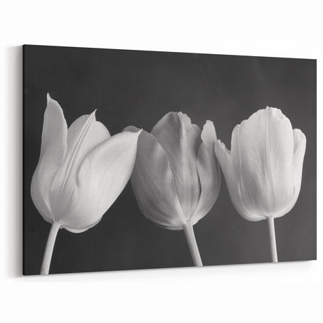 Elegant Black and White Tulip Wall Art | Tulip Canvas Prints for Modern Decor