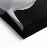 Elegant Black and White Tulip Wall Art | Tulip Canvas Prints for Modern Decor