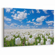 White Tulip Field Wall Art | Framed Canvas & Acrylic Prints for Home Decor