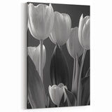 Monochrome Tulip Art – Elegant Black & White Tulip Wall Decor
