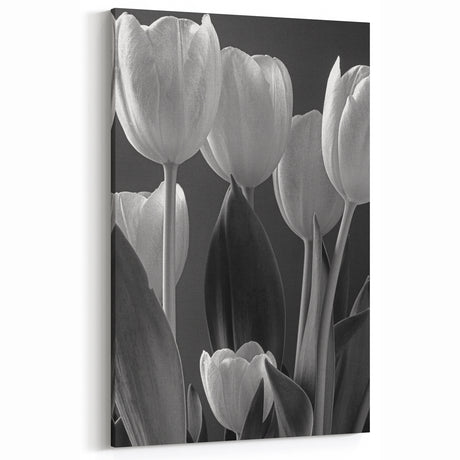 Monochrome Tulip Art – Elegant Black & White Tulip Wall Decor