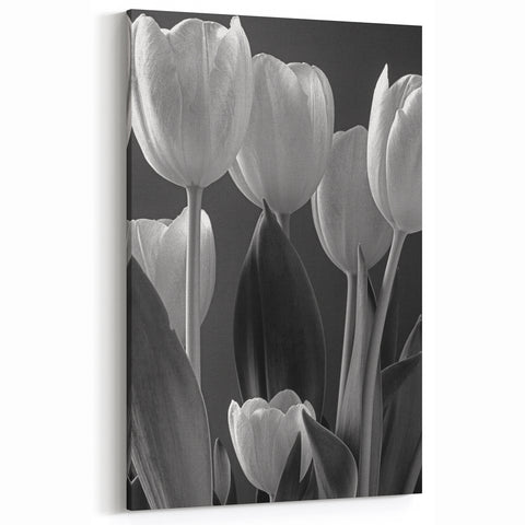 Monochrome Tulip Art – Elegant Black & White Tulip Wall Decor