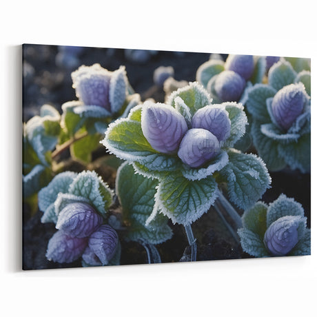 Frost-Covered Purple Buds | Nature Close-Up Winter Wall Art Photography
