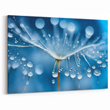 Dandelion Seeds with Dew Drops | Nature Close-Up Frozen Wall Art