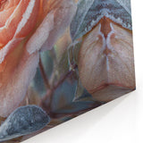 Frosted Peach Roses in Winter | Nature Close-Up Floral Wall Art