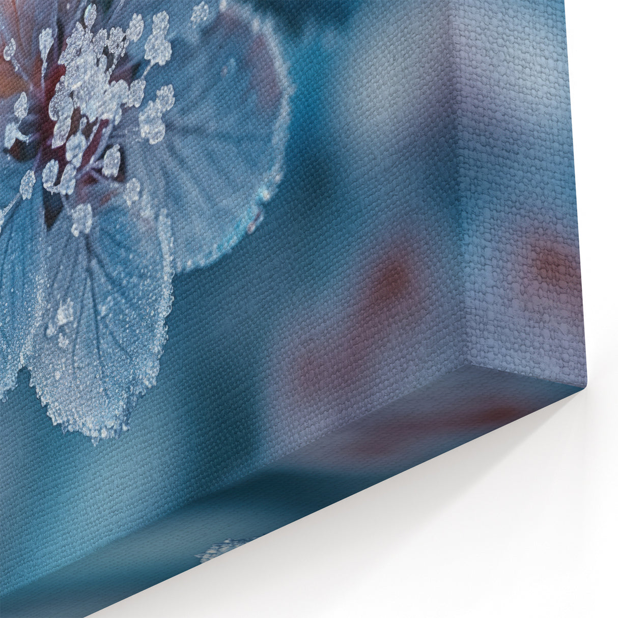 Frost-Kissed Blue and Red Flowers – Nature’s Winter Close-Up Wall Art