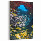 Quintana Roo Wall Art – Vibrant Fish School Canvas with Coral Reef