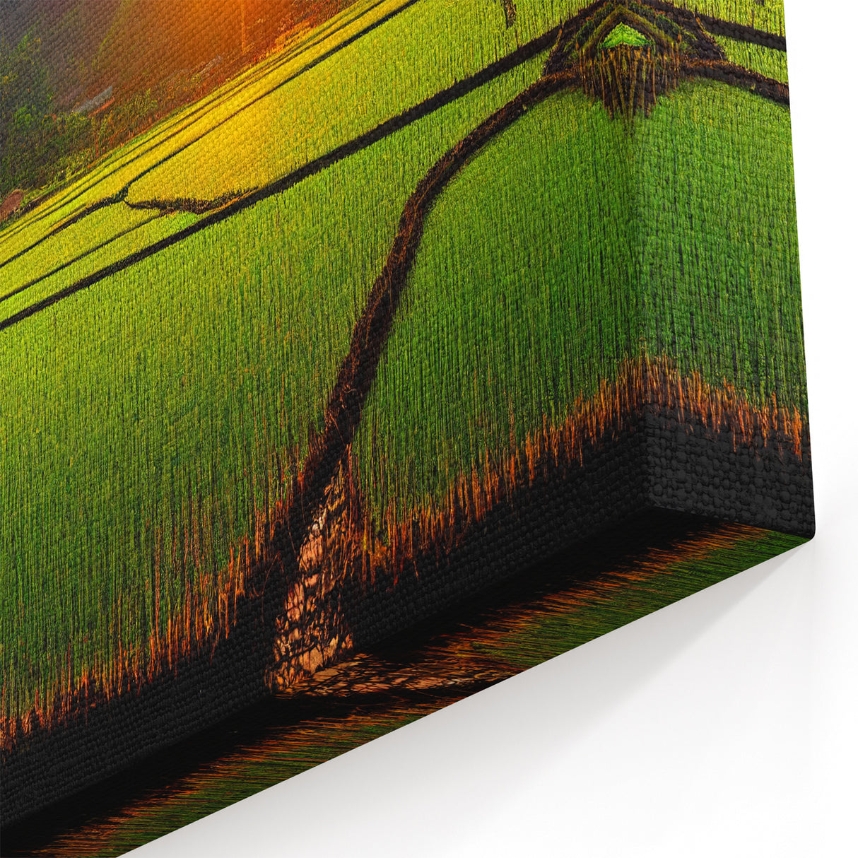 Sunset Over Laos Rice Fields - Scenic Landscape Photography Print