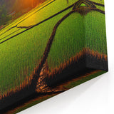 Sunset Over Laos Rice Fields - Scenic Landscape Photography Print