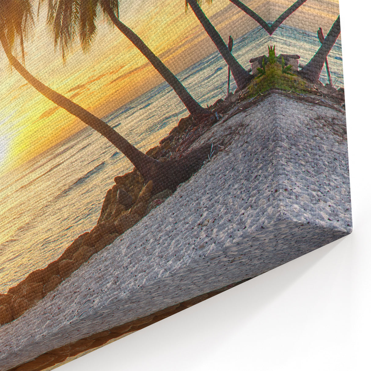 Caribbean Scenery Art – Sunset Palm Trees on Barbados Beach Canvas Print