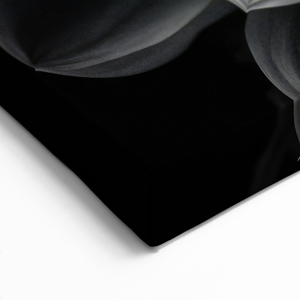 Stunning Black and White Dahlia Canvas | Botanical Flower Art Print