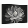 Abstract Black and White Dahlia Art | Botanical Flower Canvas Print