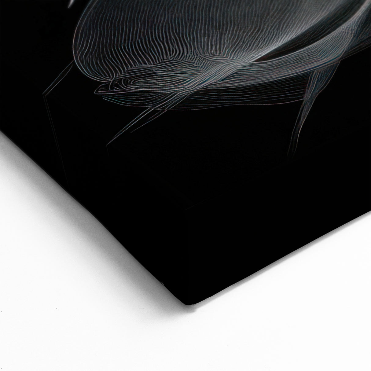 Abstract Black and White Dahlia Art | Botanical Flower Canvas Print