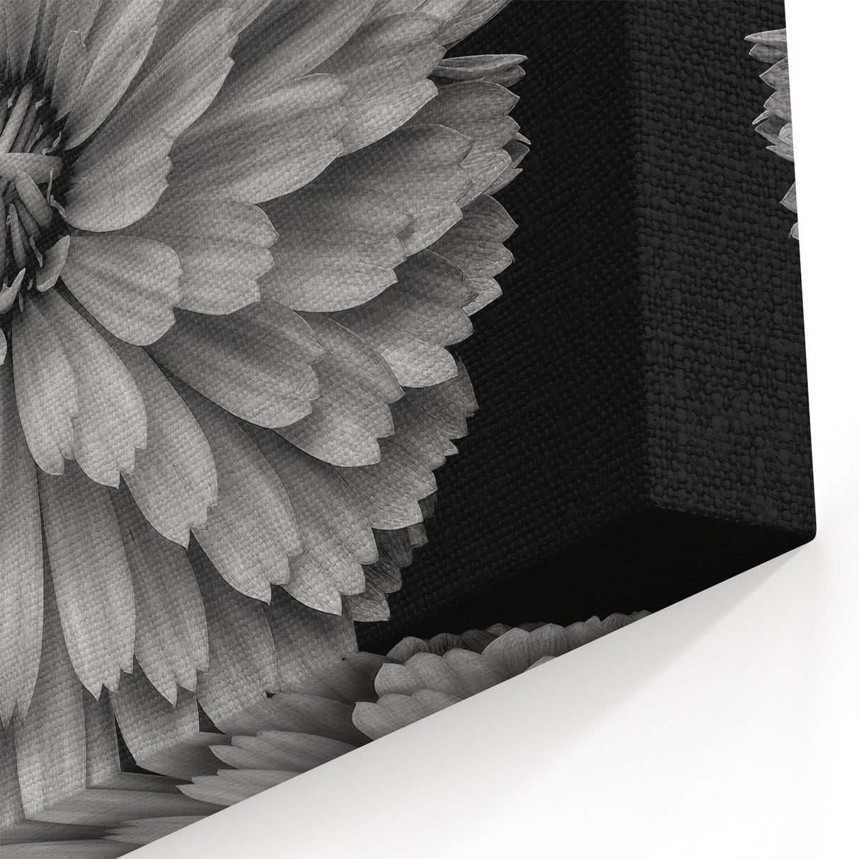 Monochrome Dahlia Flower Art | Bold Black and White Botanical Print