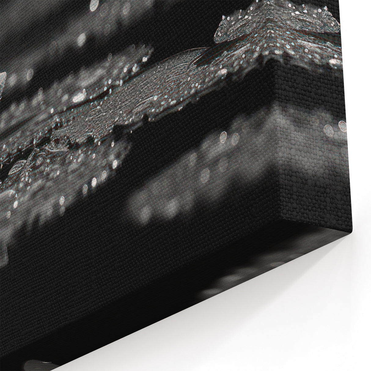 Black and White Water Lily Canvas - Elegant Floral Wall Art Print