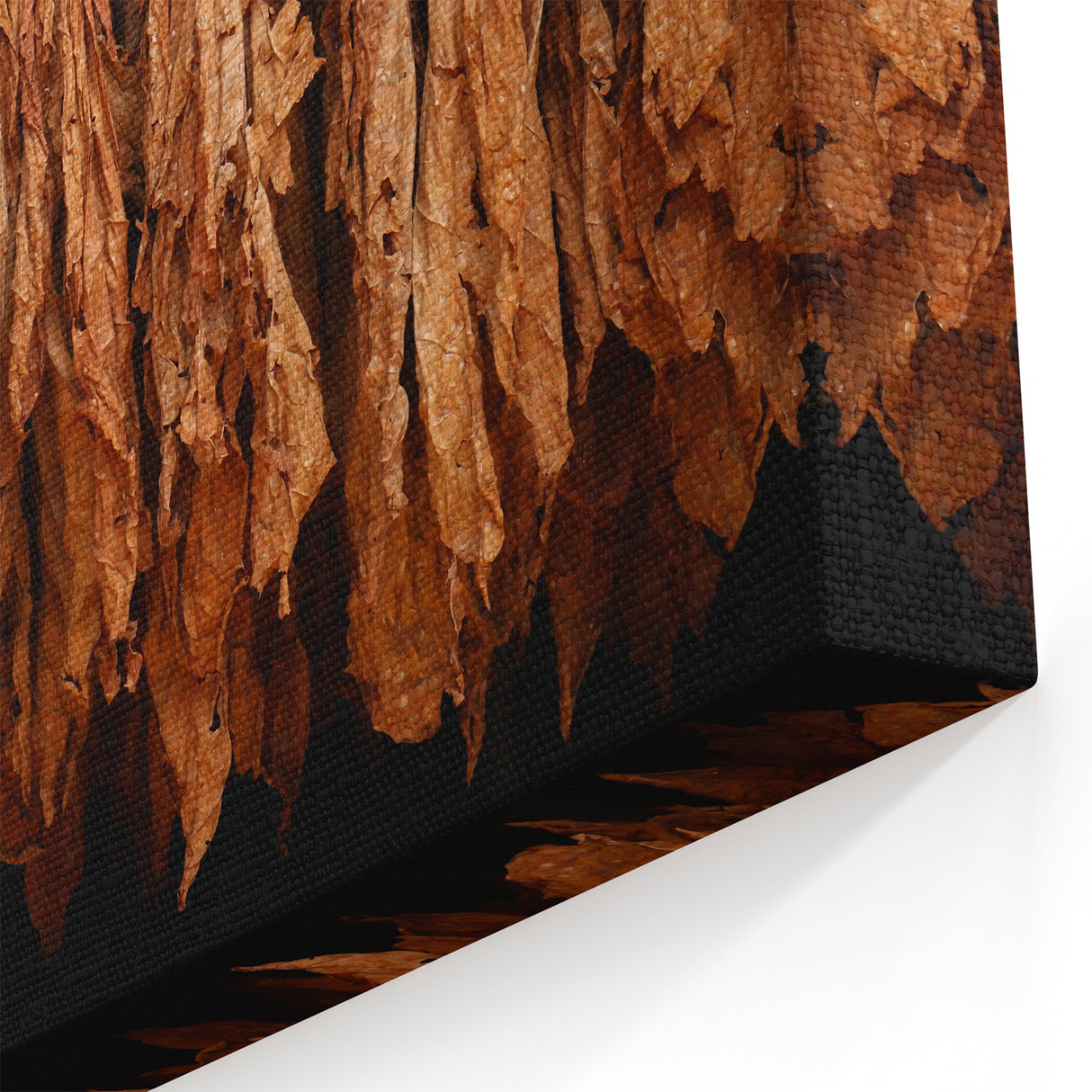 Cuban Landscape Paintings – Authentic Tobacco Drying Art Print