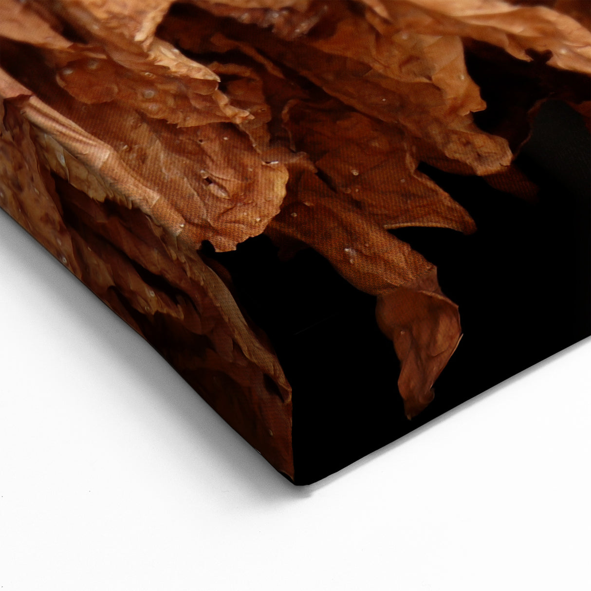Cuban Landscape Paintings – Authentic Tobacco Drying Art Print