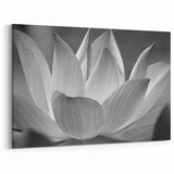 Elegant Black & White Floral Wall Art - Botanical Nature Close-Up Prints
